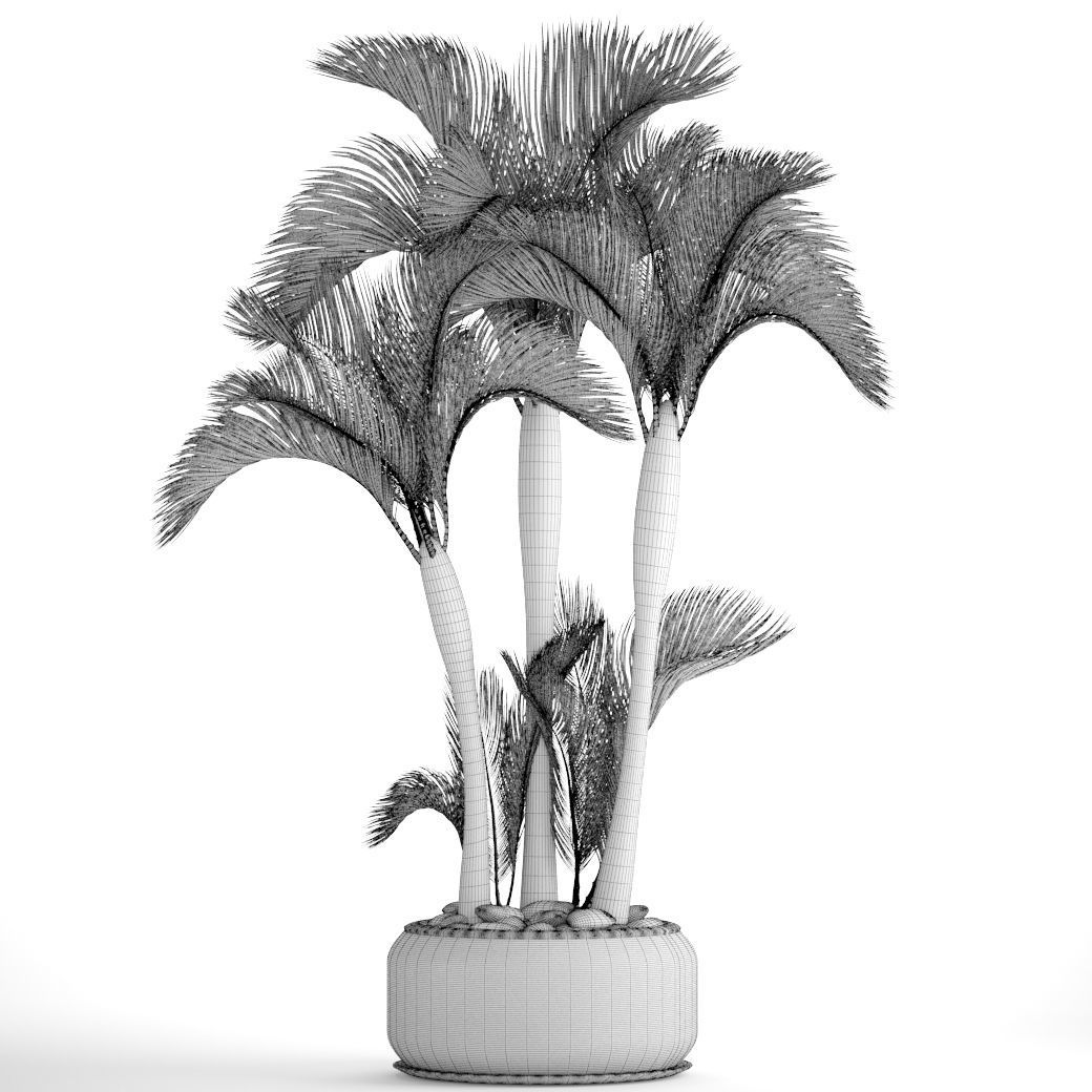 Collection of tropical plants 2 3D model_9