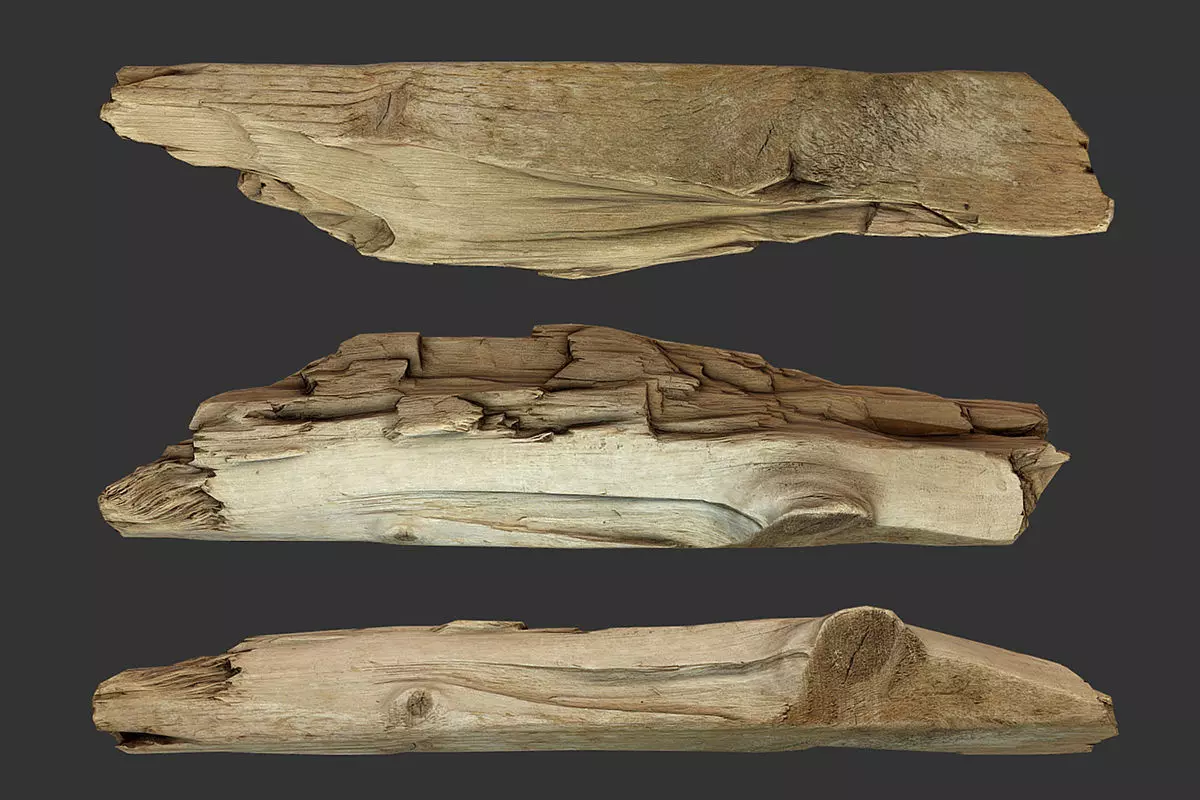 Broken Plank Low-poly 3D model_0