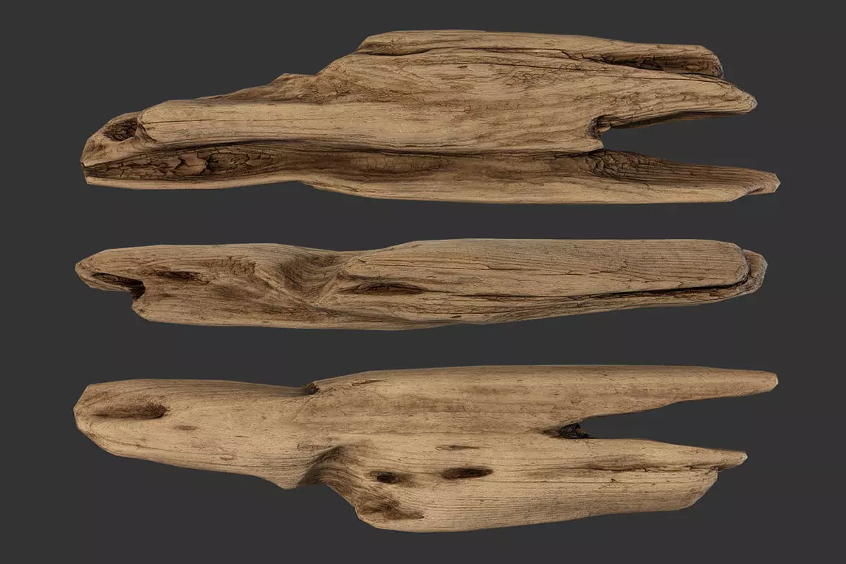 Plank Fragment Low-poly 3D model_0