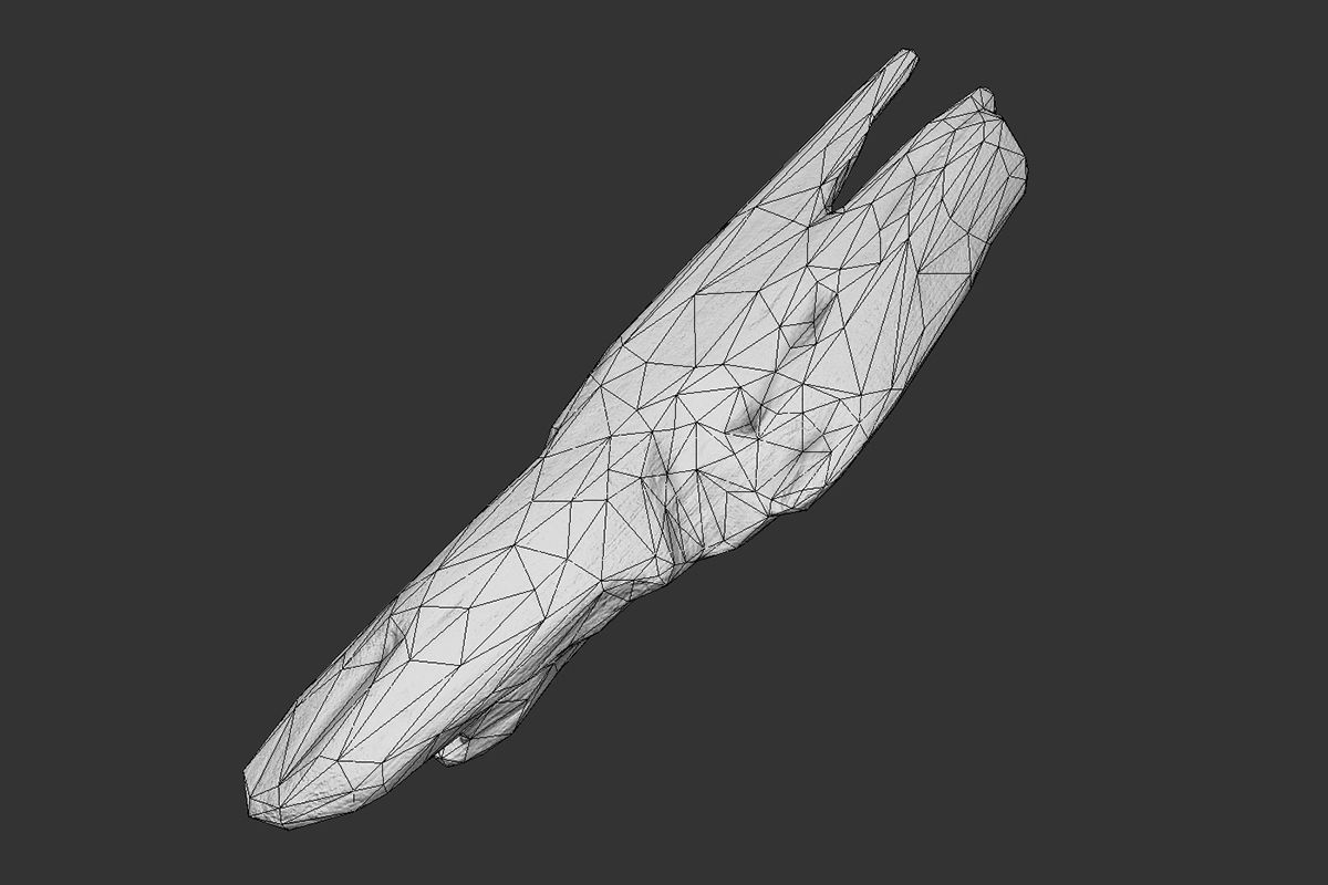 Plank Fragment Low-poly 3D model_9