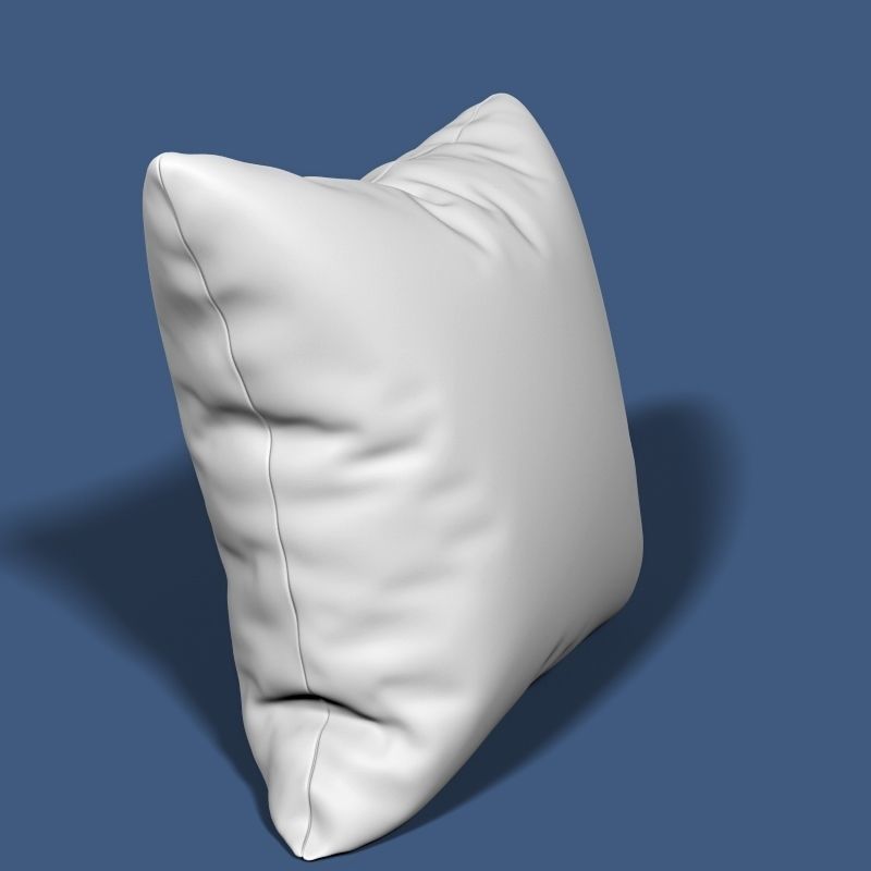 Pillow 48 3D model_1