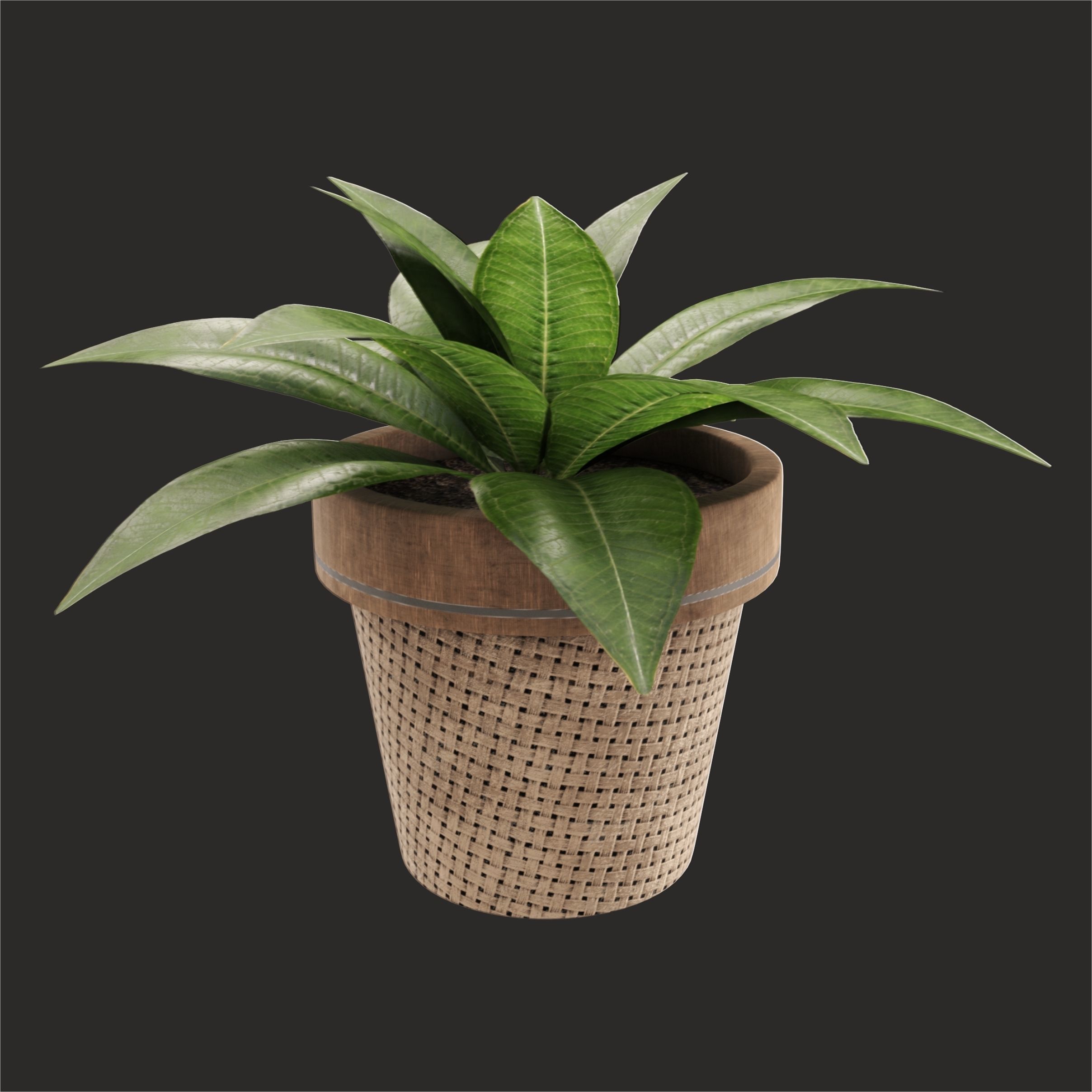 Collection artist vase 3D model_4