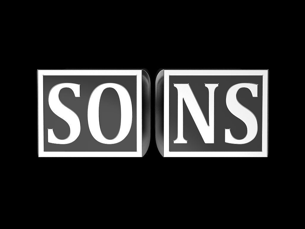 Sons of anarchy 2 rings 3D print model_1