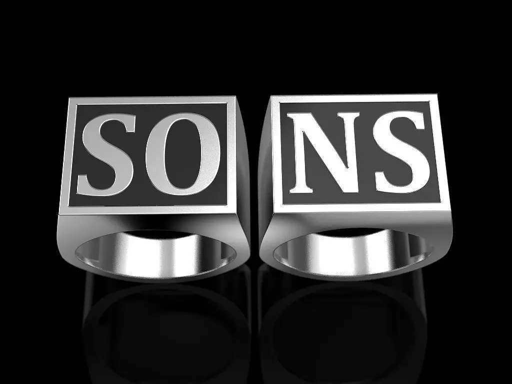 Sons of anarchy 2 rings 3D print model_0