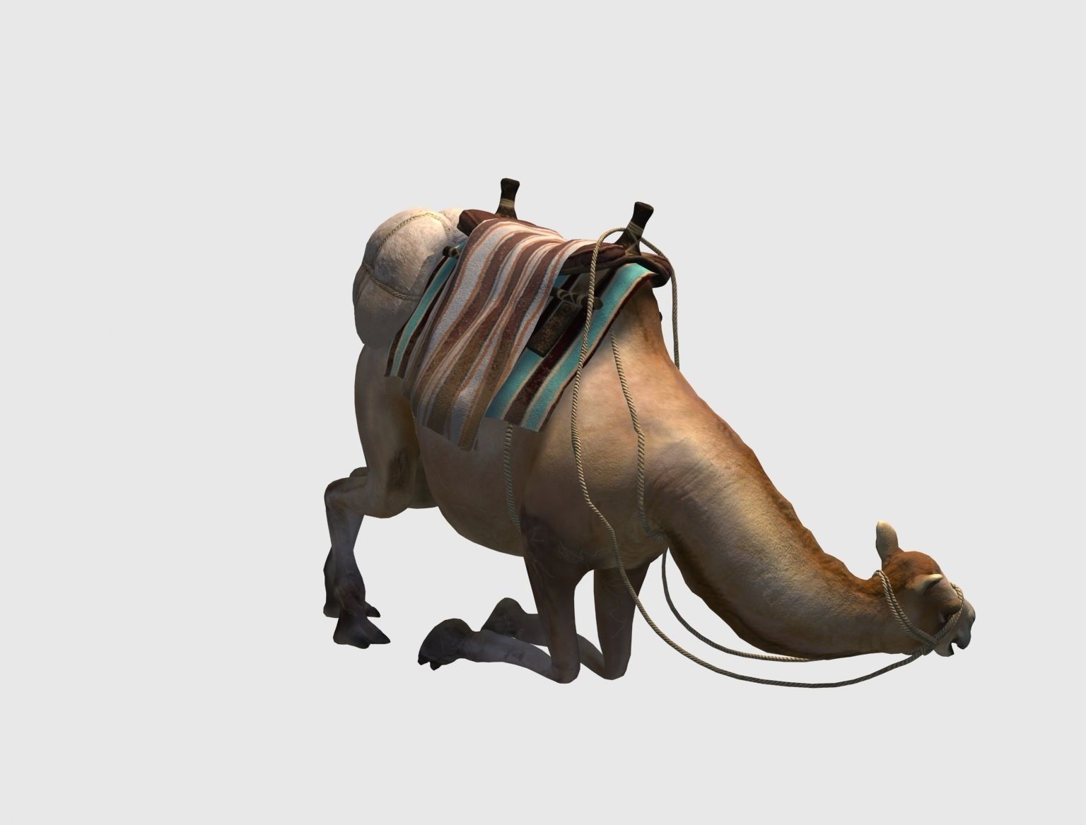 camel luggage animation  3D model_6