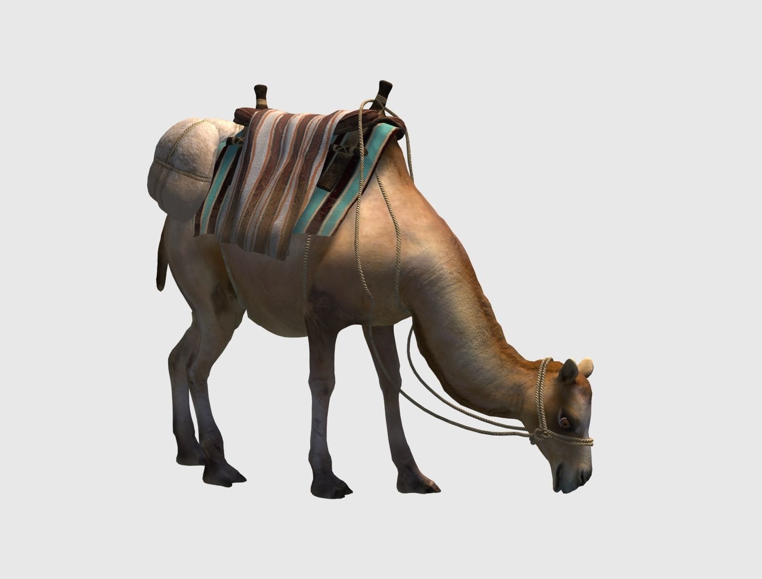 camel luggage animation  3D model_3
