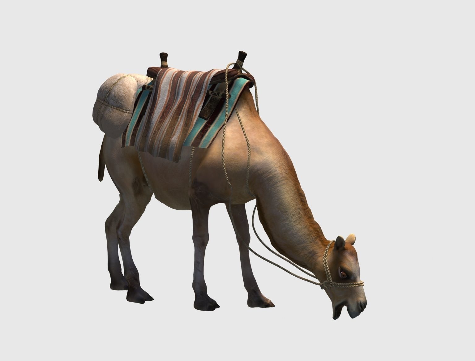camel luggage animation  3D model_4