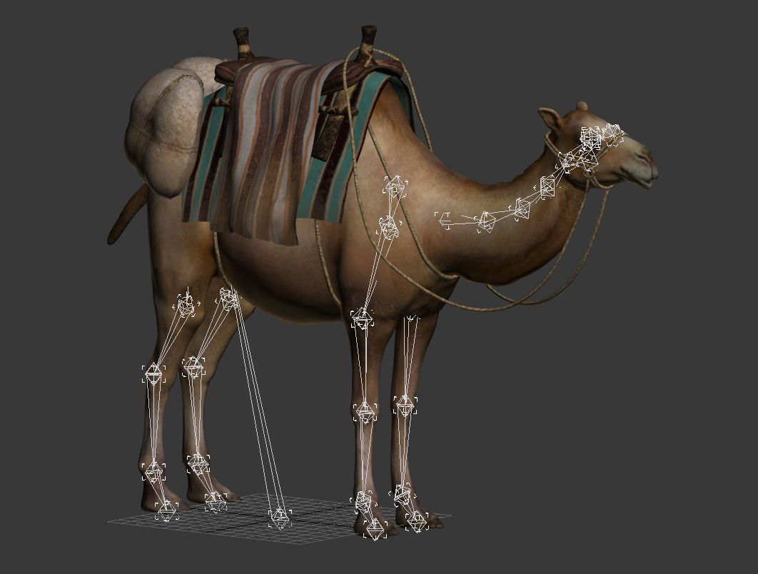 camel luggage animation  3D model_11