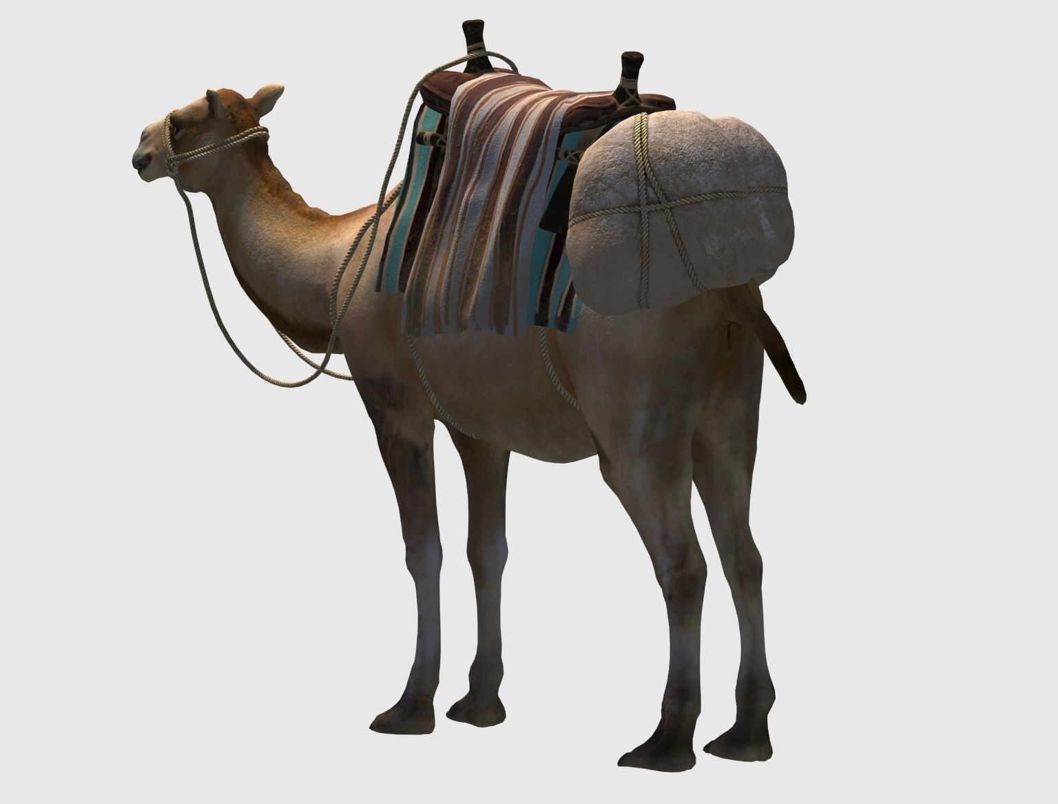 camel luggage animation  3D model_5