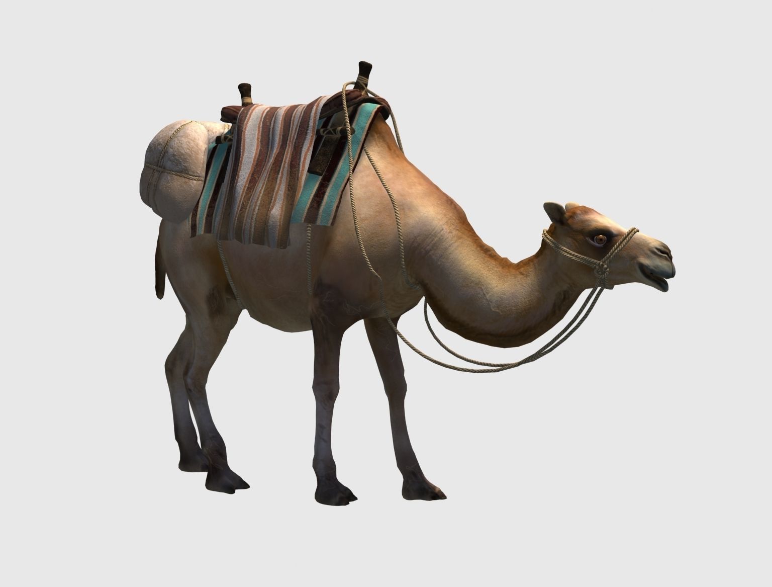 camel luggage animation  3D model_2