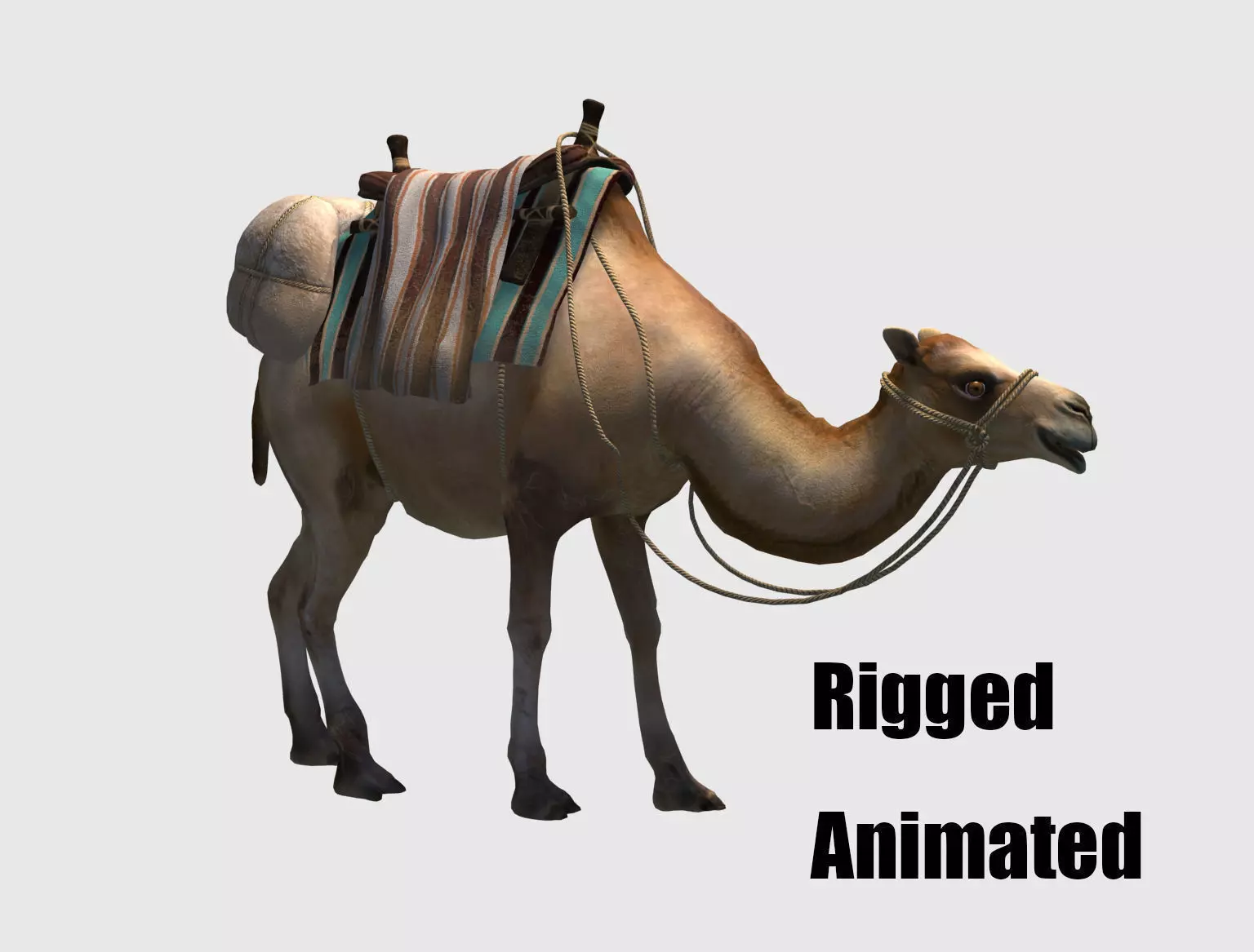 camel luggage animation  3D model_0