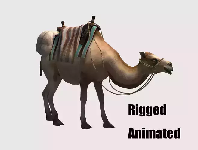 camel luggage animation  3D model