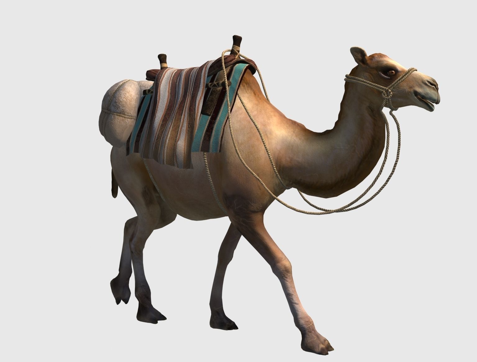 camel luggage animation  3D model_10