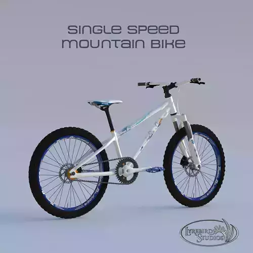 Single Speed Mountain Bike 3D model