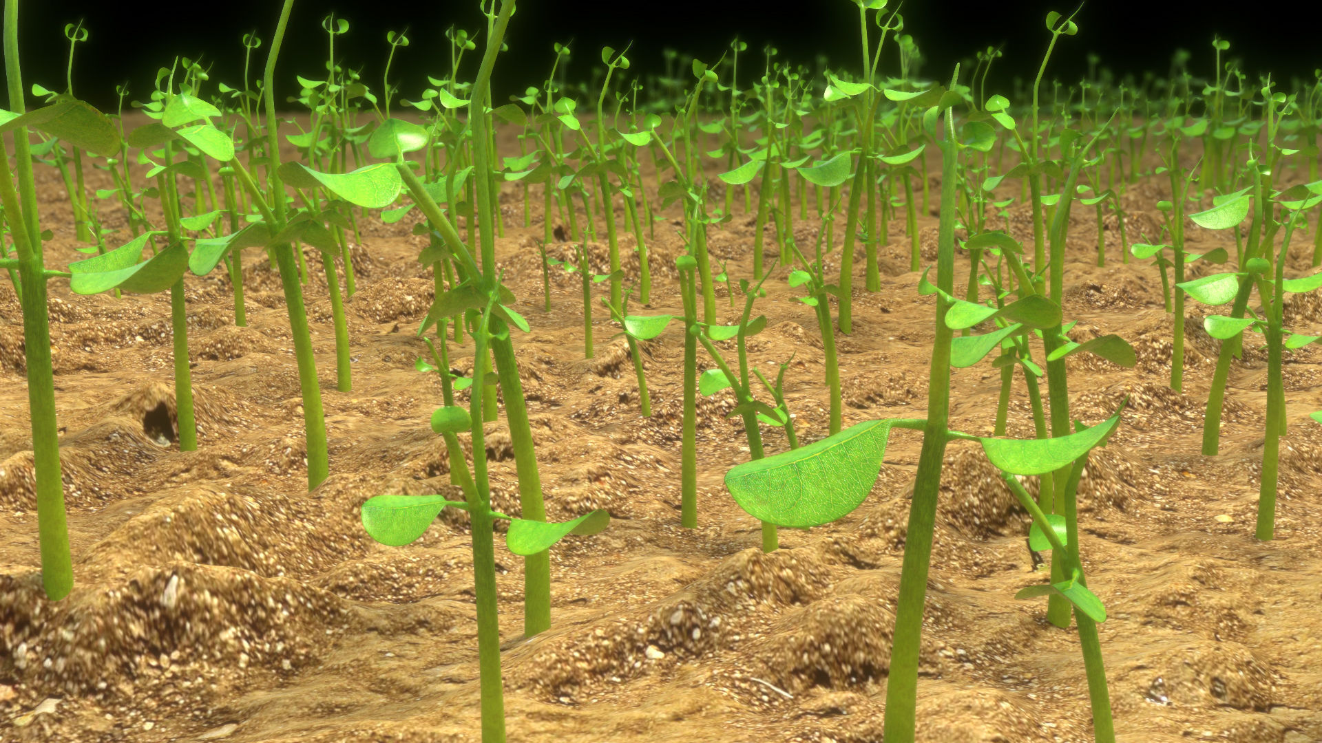 Sprouts blossoming from the ground 3D model_3