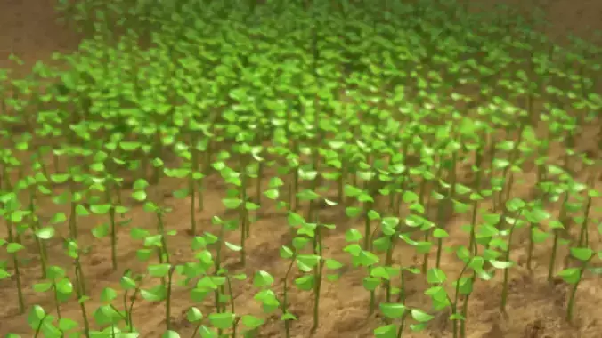 Sprouts blossoming from the ground 3D model