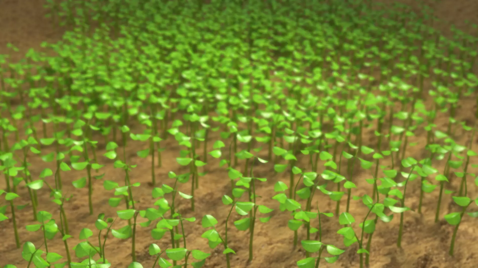 Sprouts blossoming from the ground 3D model_0