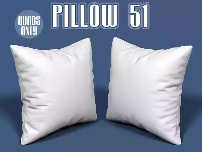 Pillow 51