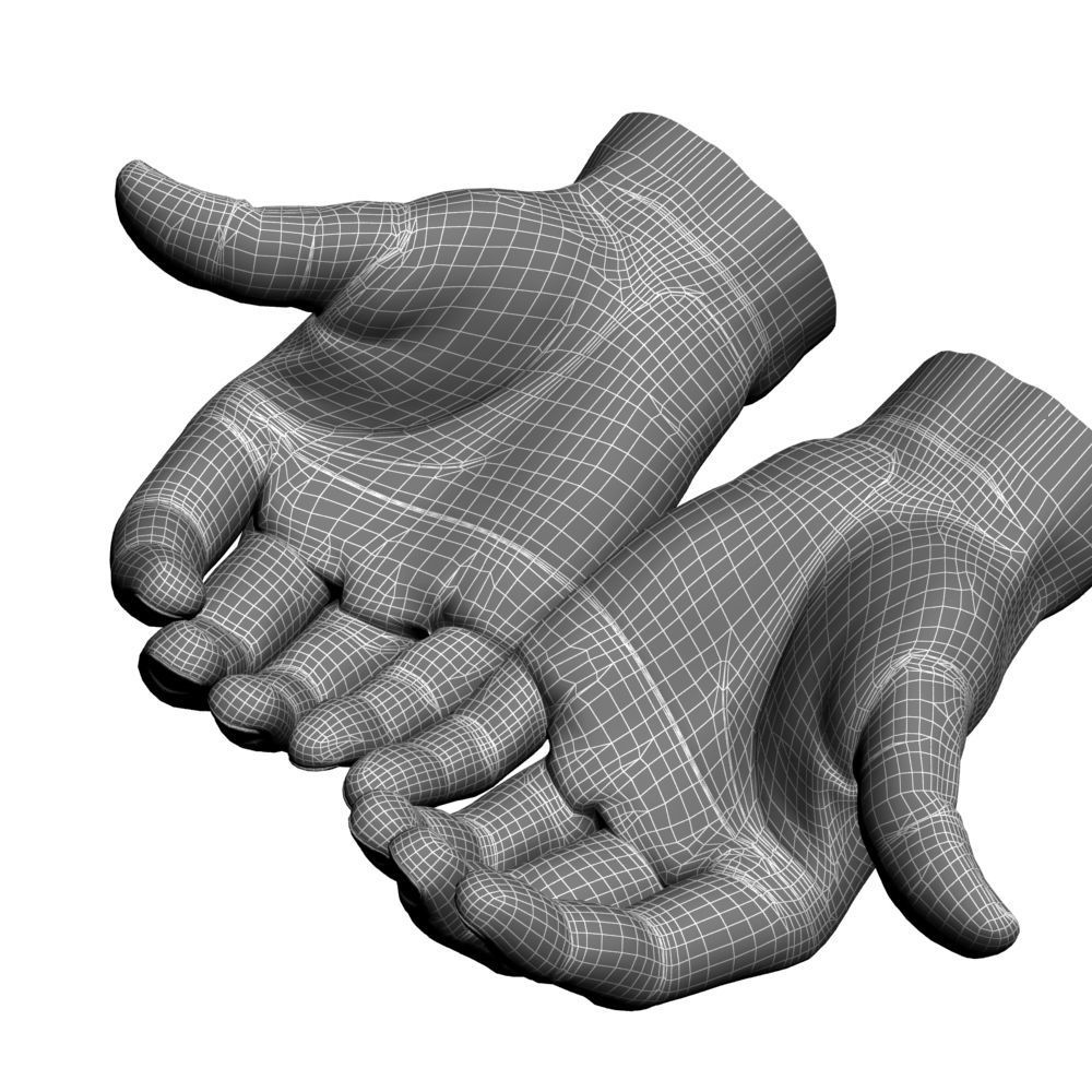 Cupped hands 3D model_7