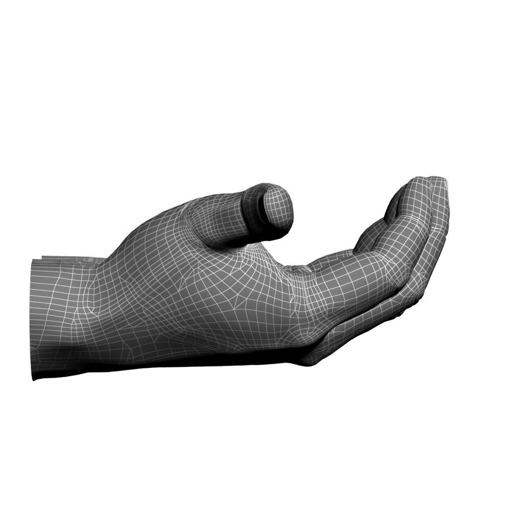 Cupped hands 3D model_8