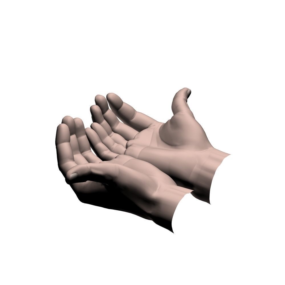 Cupped hands 3D model_3