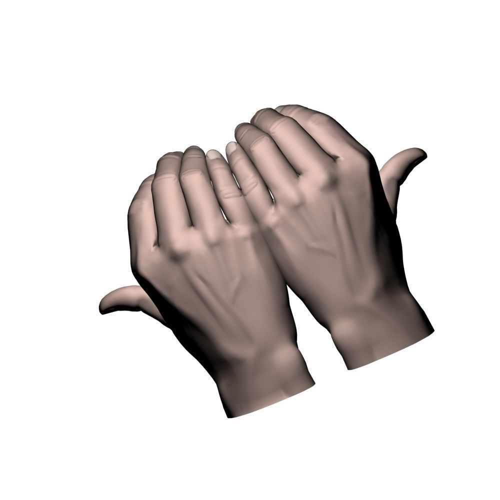 Cupped hands 3D model_4
