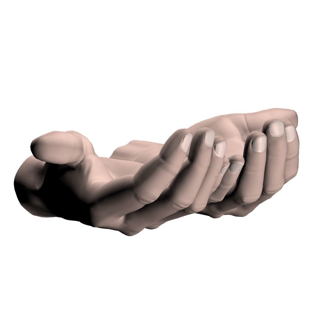 Cupped hands 3D model_5