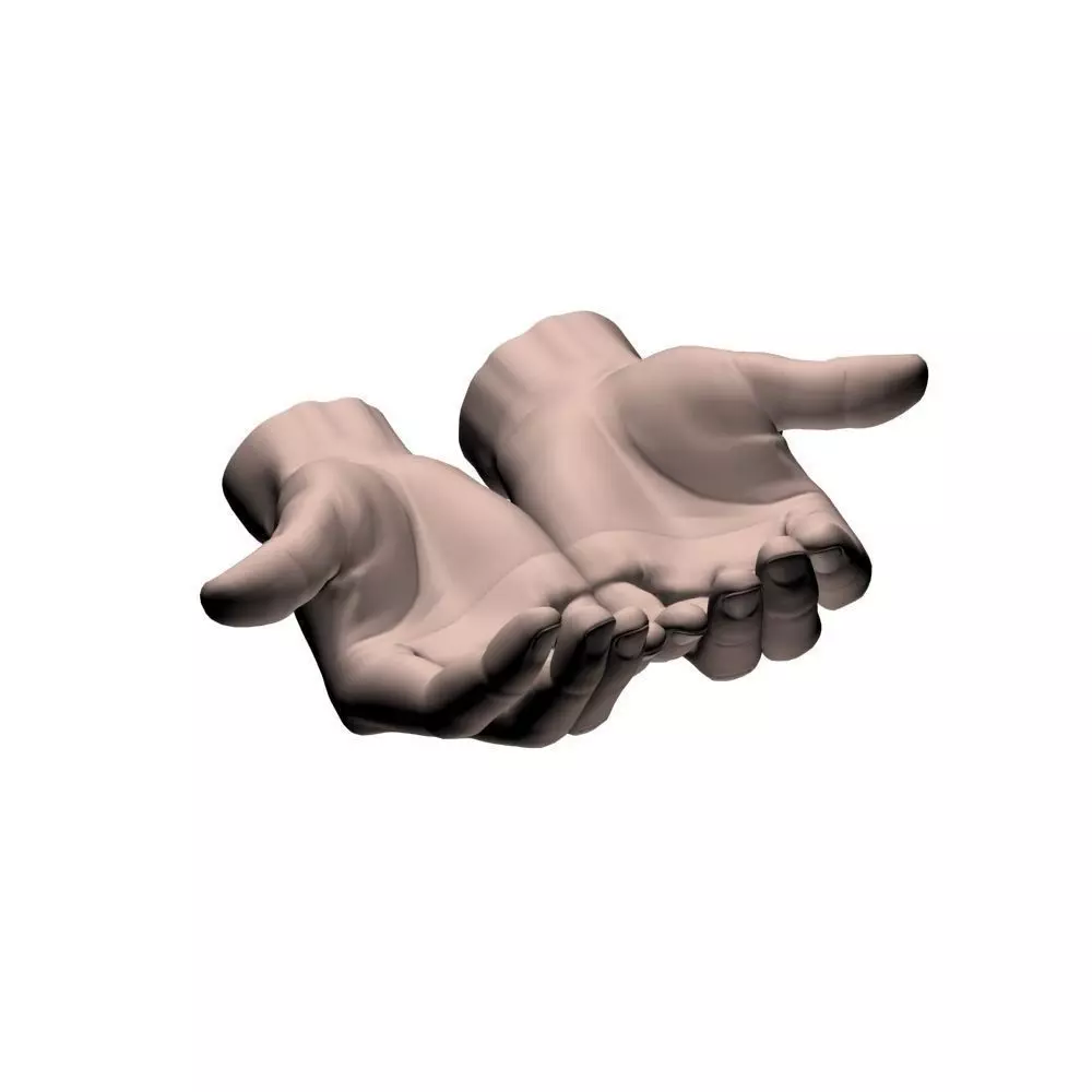 Cupped hands 3D model_0