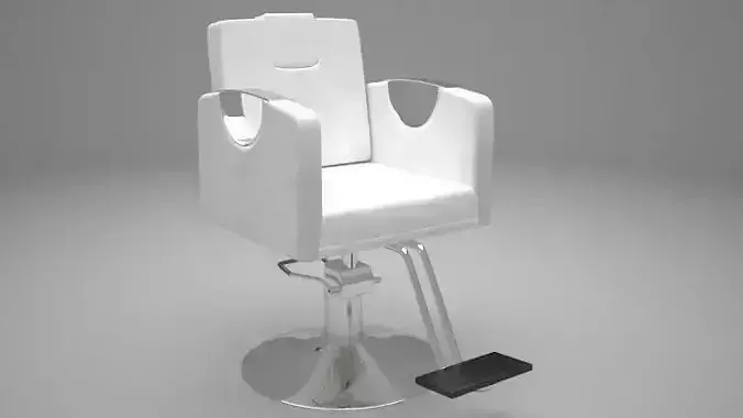 Hair Salon Chair