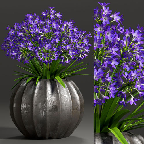 Decorative plant set-3 3D model