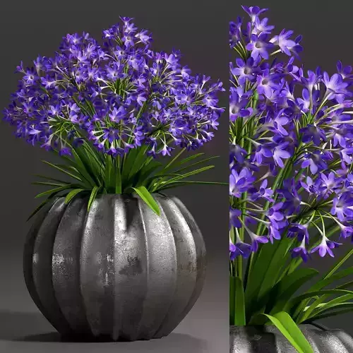 Decorative plant set-3