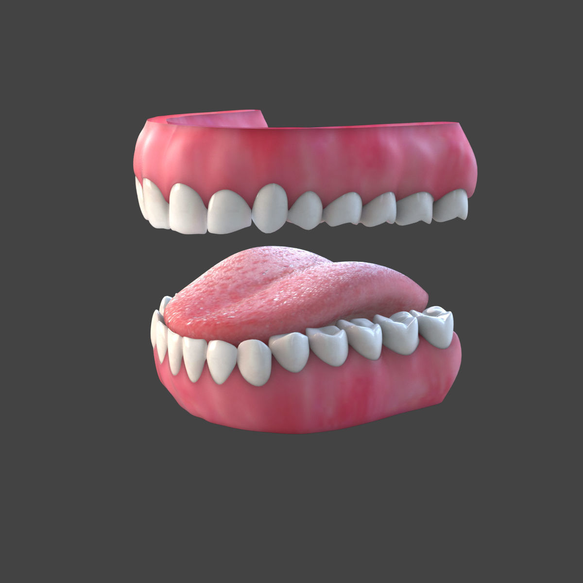 Cartoon Girl Rigged 3D model_17