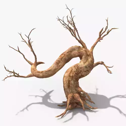 Dry Tree 02 3D model