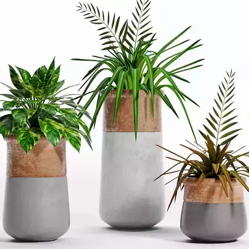 Decorative plant set-5