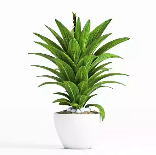  Decorative plant set-6