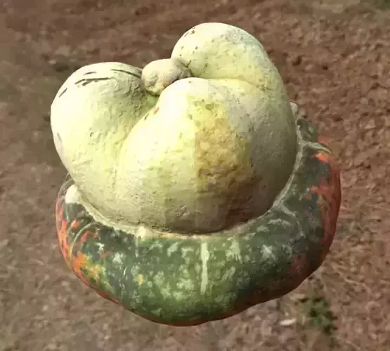 Food pumpkin bischof cap