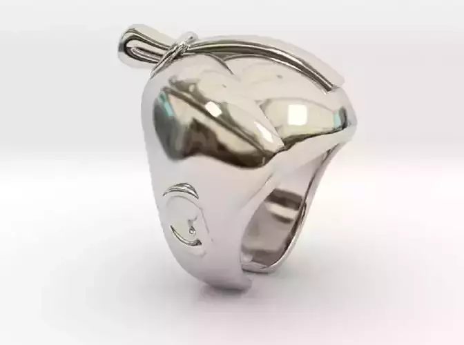 SAMURAI Ring  3D print model