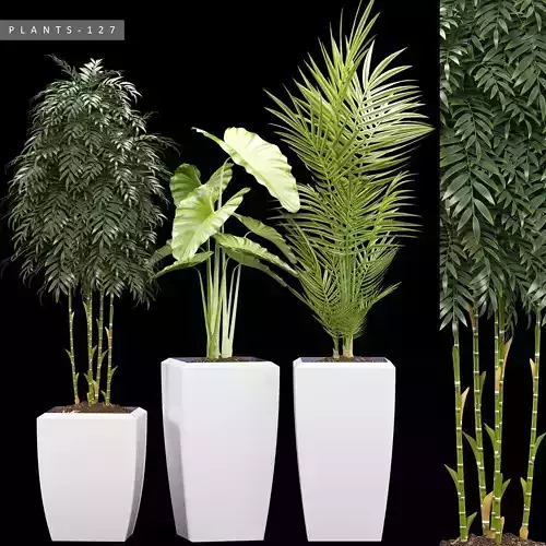 plants set 127