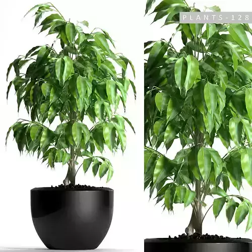 plant 128 3D model