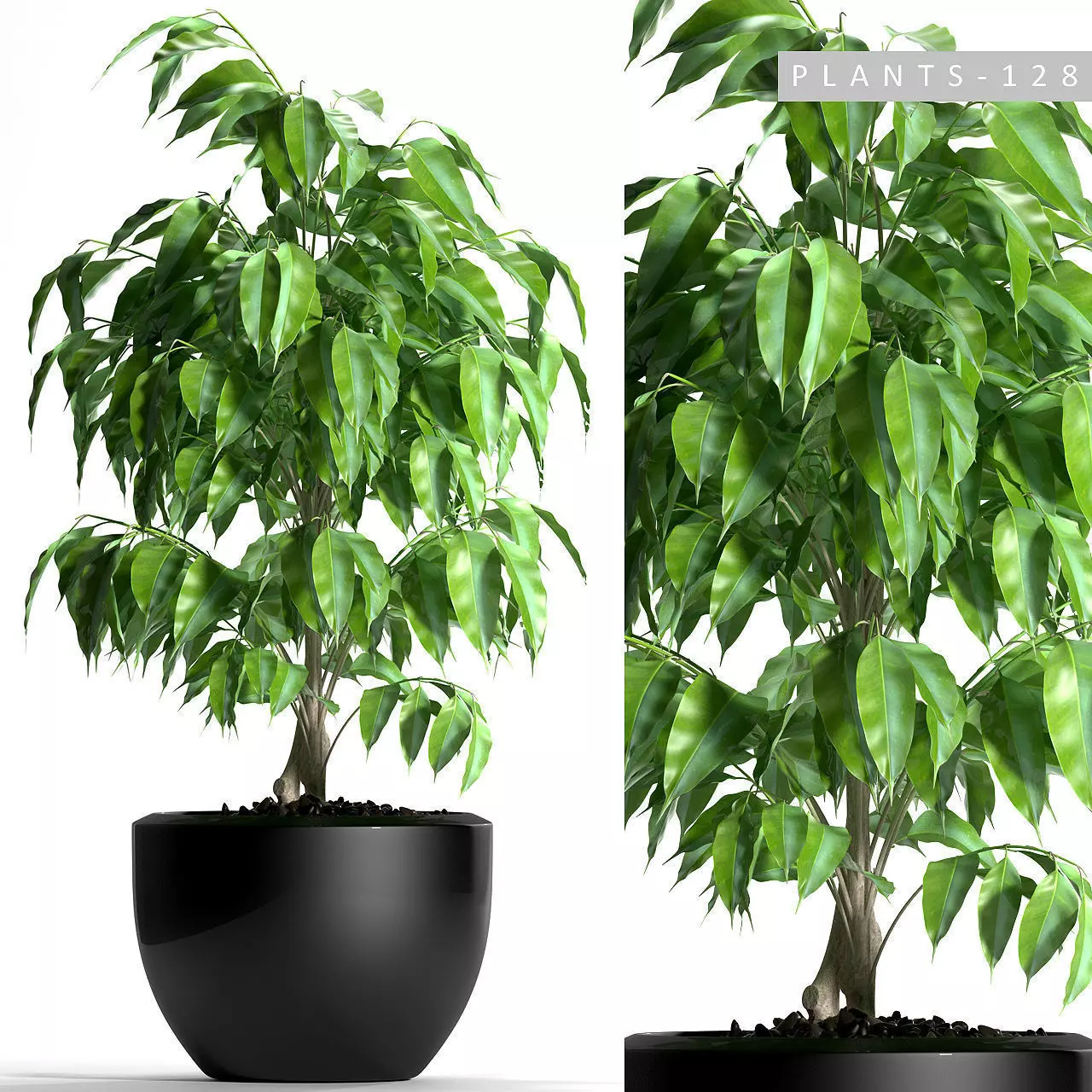 plant 128 3D model_0