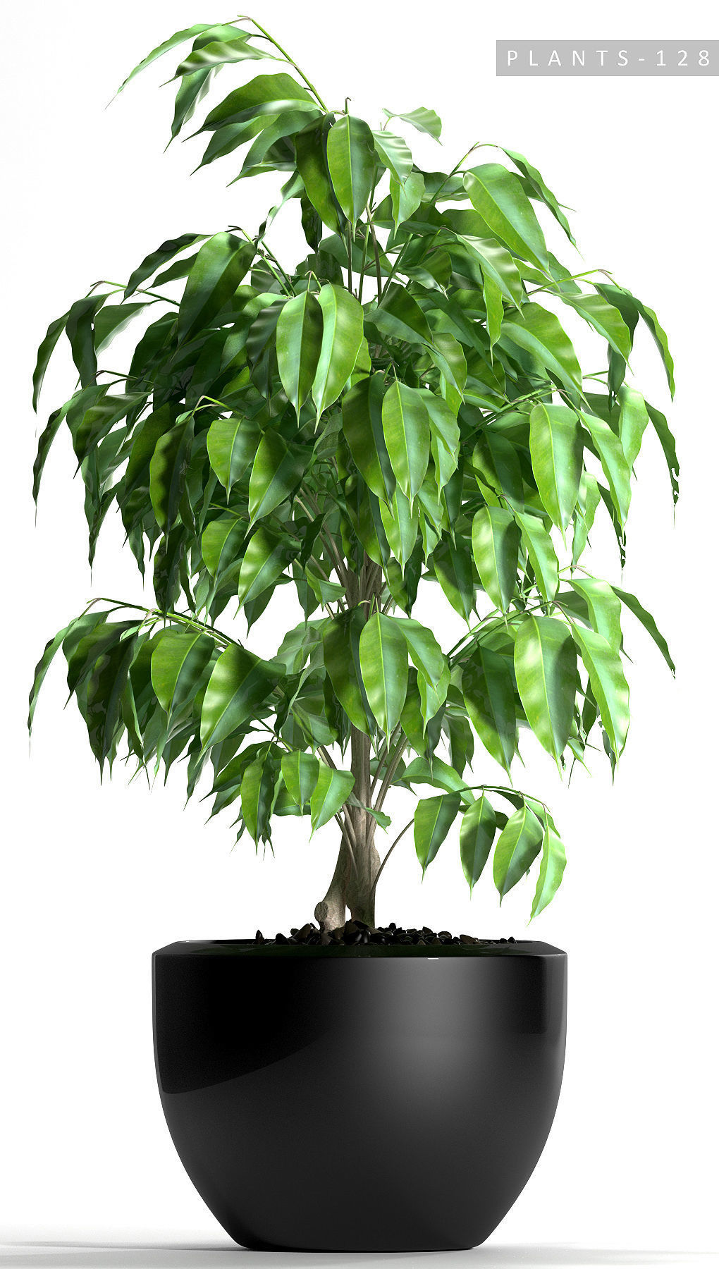 plant 128 3D model_1