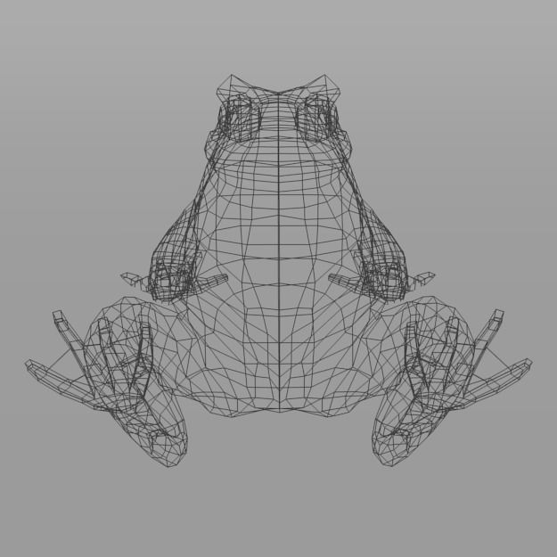 Warty Toad Low-poly 3D model_6