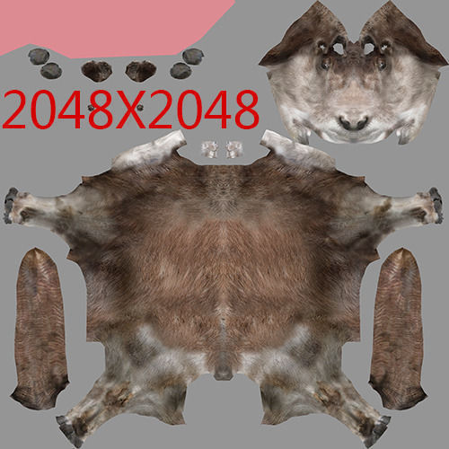 Goat Rigged 01 3D model_13