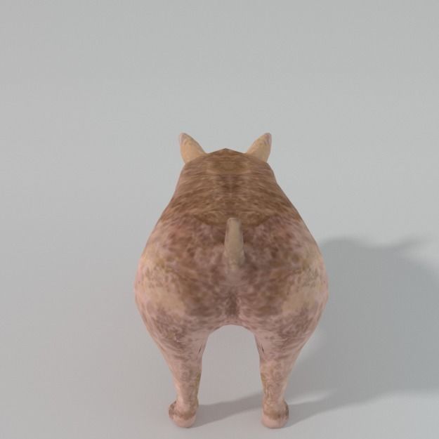 Standard Pig Low-poly 3D model_4