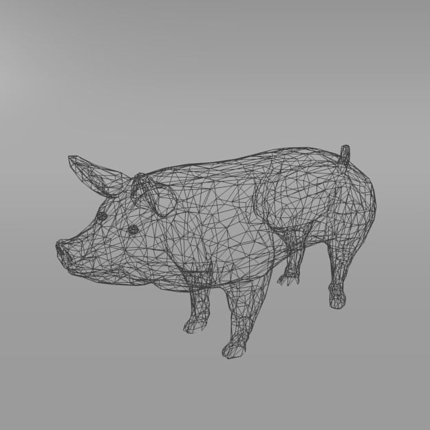 Standard Pig Low-poly 3D model_2
