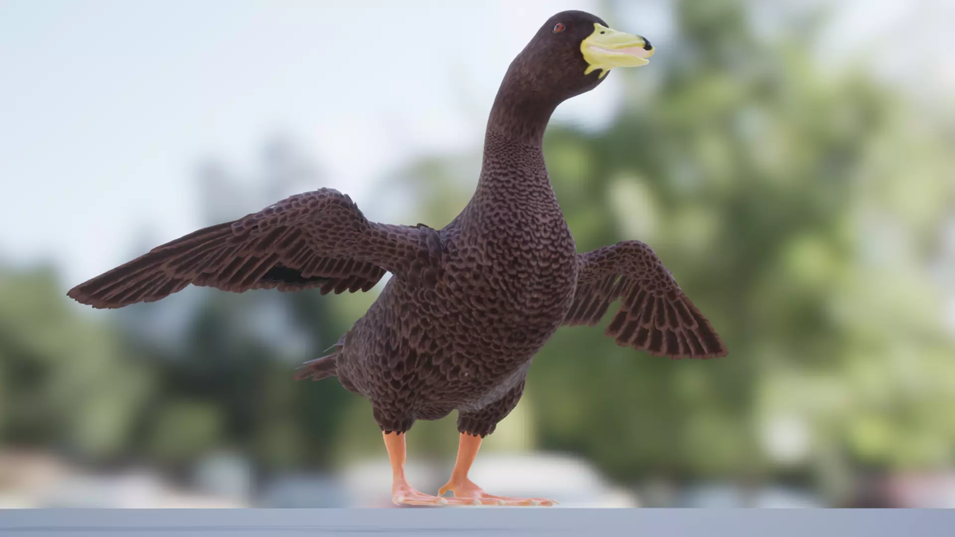 Duck Basic Low-poly 3D model_5