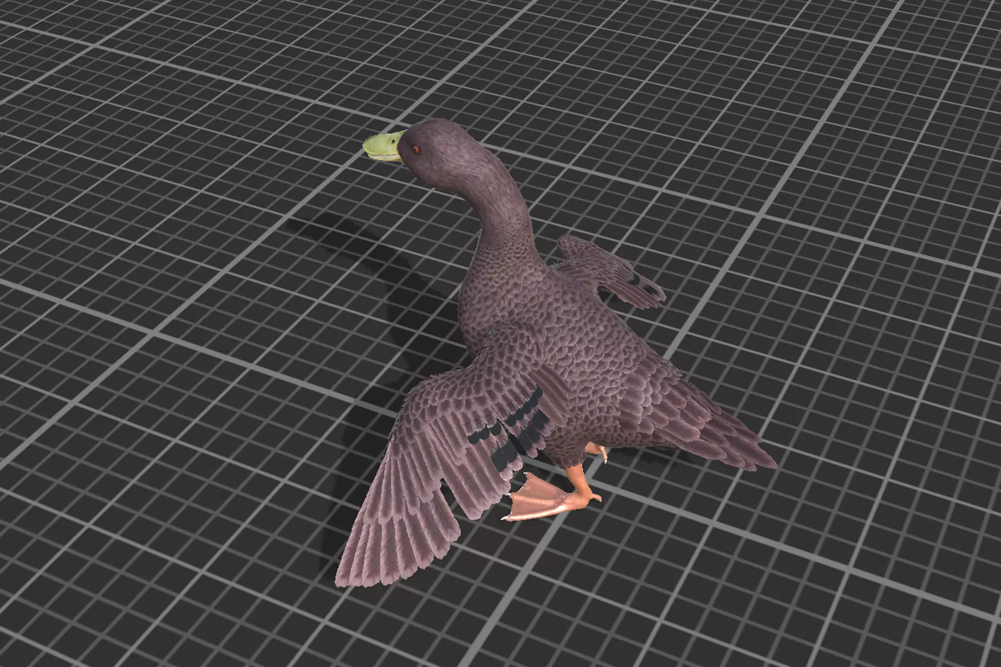 Duck Basic Low-poly 3D model_10