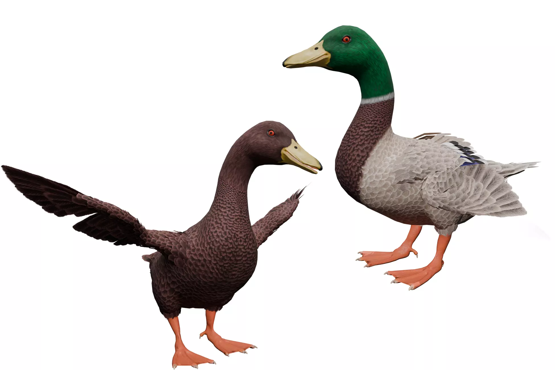 Duck Basic Low-poly 3D model_0