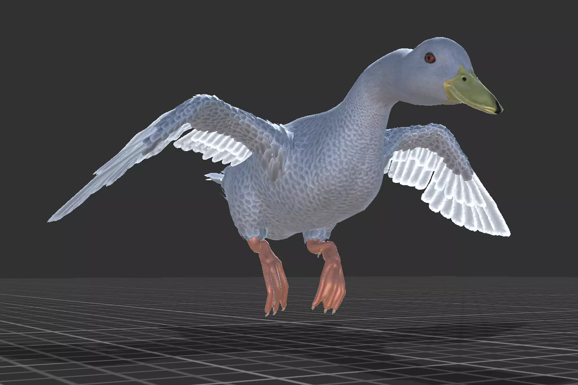 Duck Basic Low-poly 3D model_13