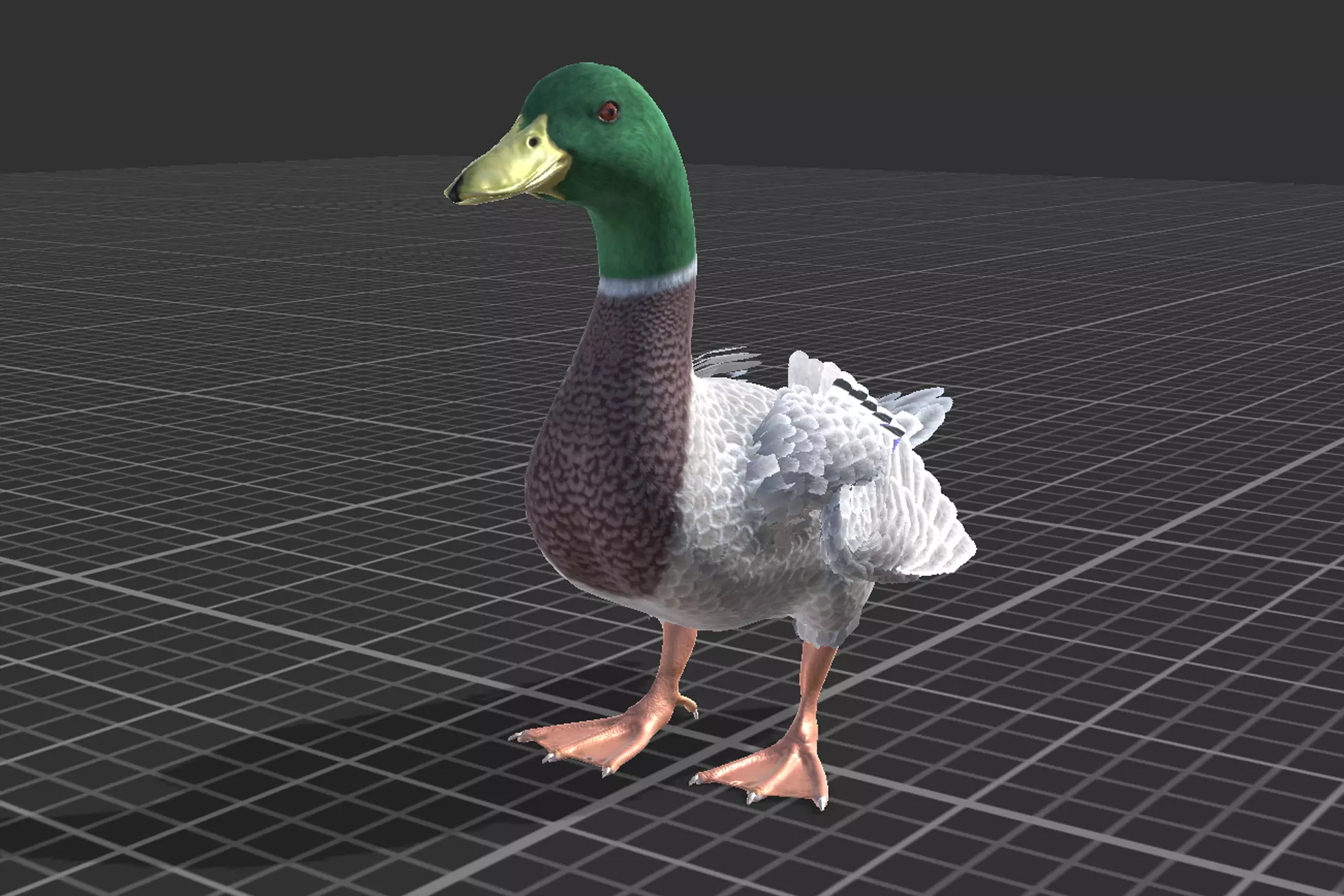 Duck Basic Low-poly 3D model_9